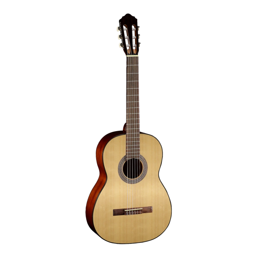 CORT AC100 OP
