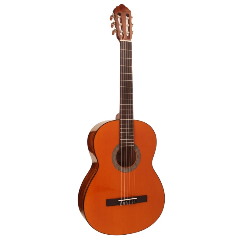 CORT AC100DX